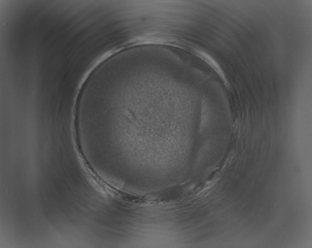 X0000073891146200608251425