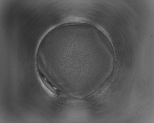 X0000073891152200608251425