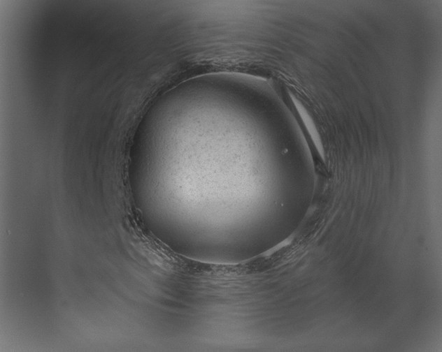 X0000073891153200608251424