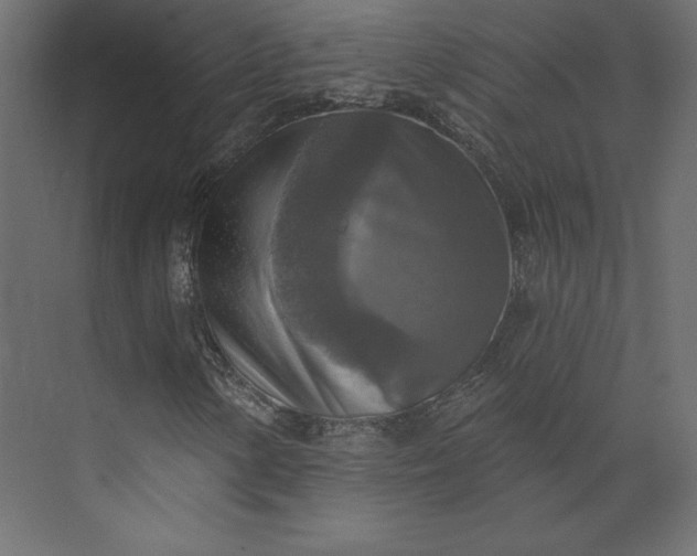 X0000073891154200608251424