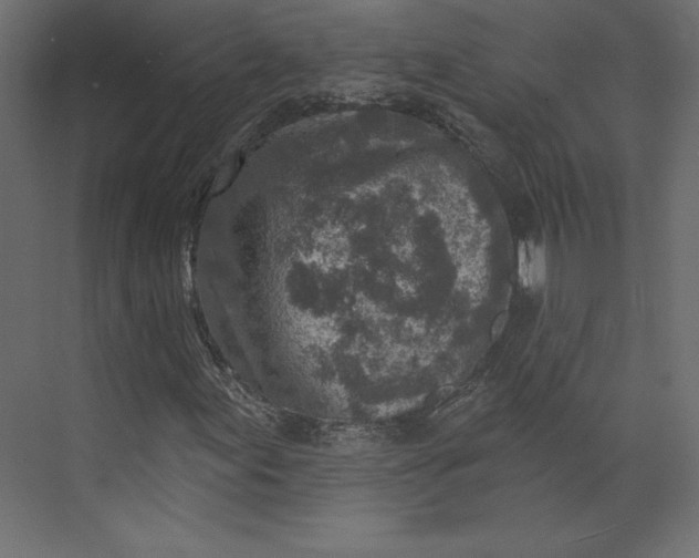 X0000073891155200608251424