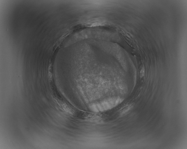 X0000073891156200608251424