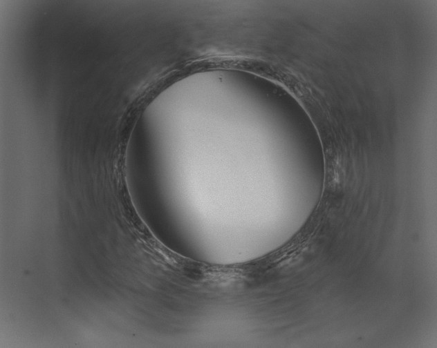 X0000073891157200608251424