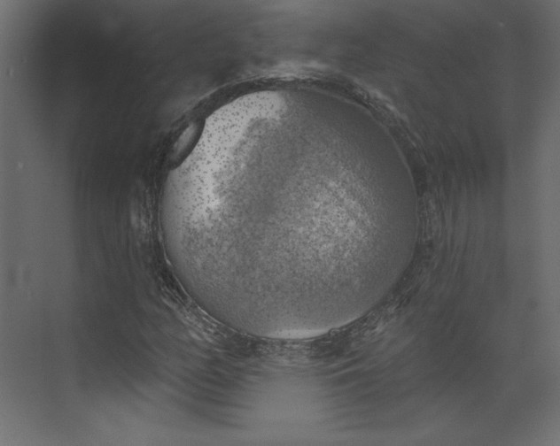 X0000073891158200608251424