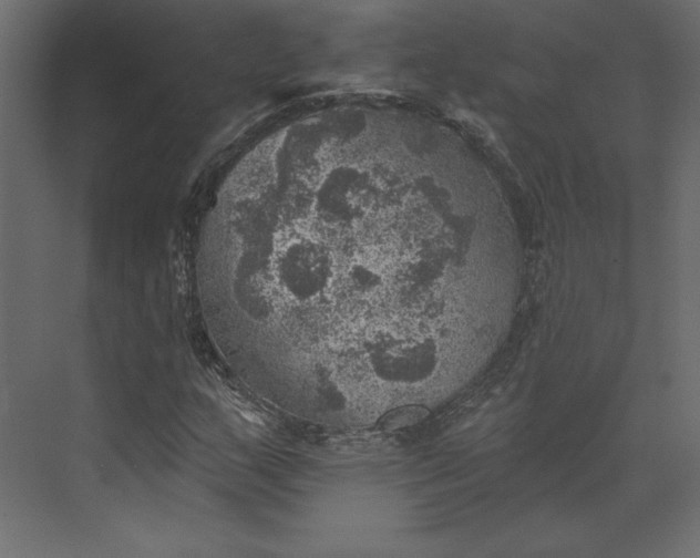 X0000073891159200608251424