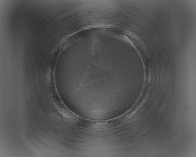 X0000073891161200608251424