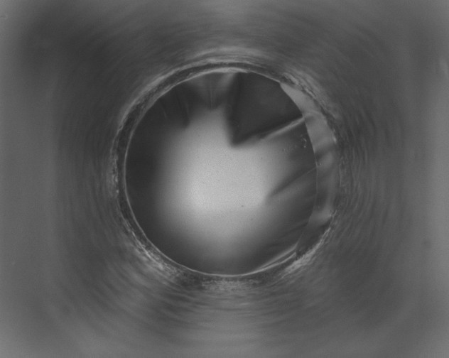 X0000073891164200608251424