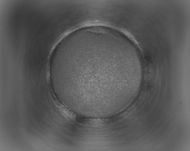 X0000073891167200608251424