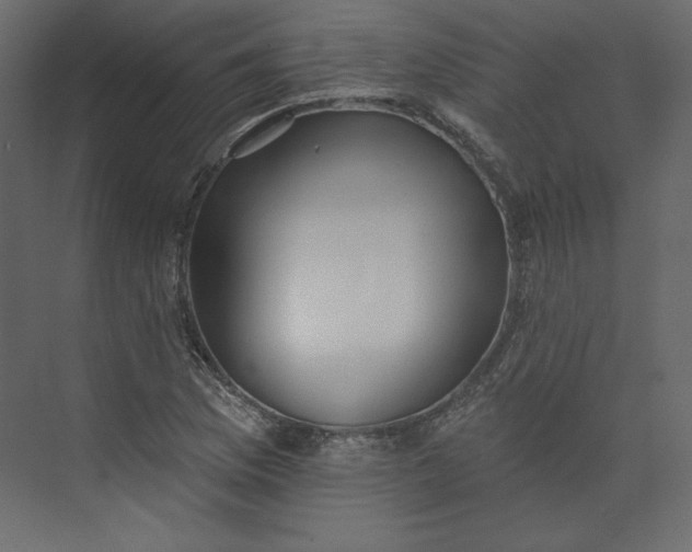 X0000073891169200608251424