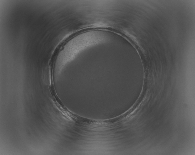 X0000073891171200608251423