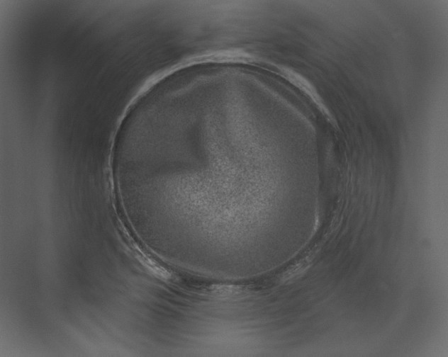 X0000073891176200608251423