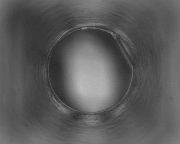 X0000073891177200608251423