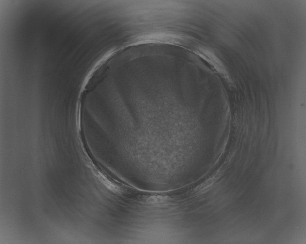 X0000073891180200608251423