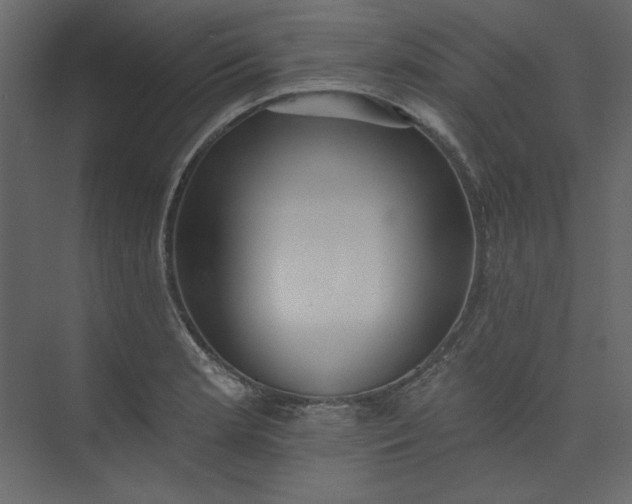 X0000073891181200608251423