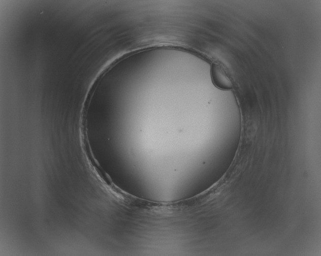 X0000073891182200608251423