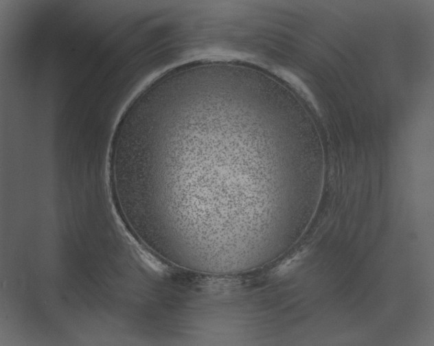 X0000073891183200608251423