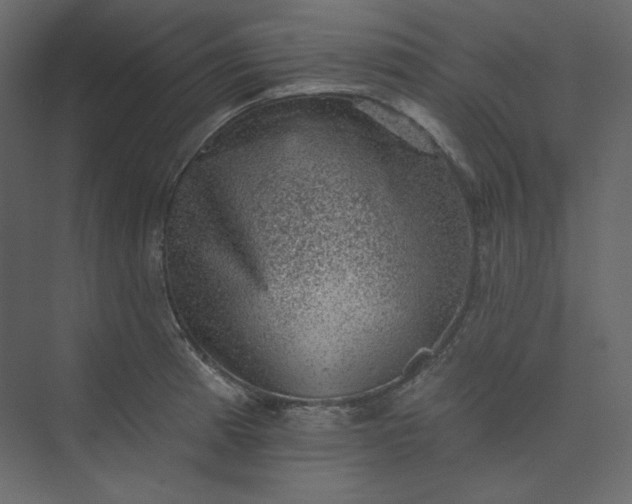 X0000073891185200608251423