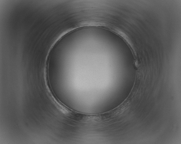 X0000073891187200608251423