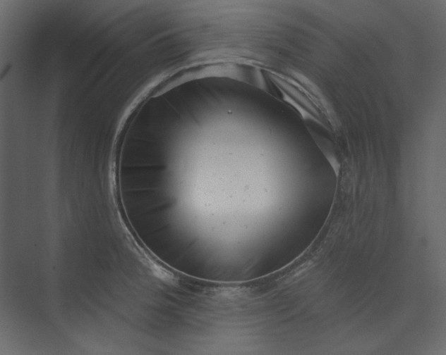 X0000073891188200608251423