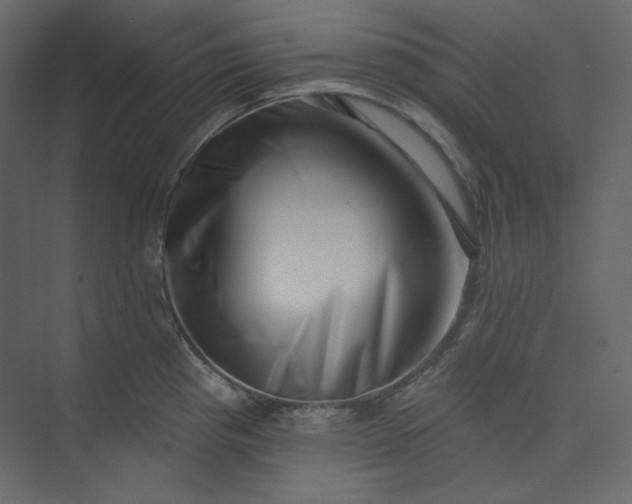 X0000073891193200608251423