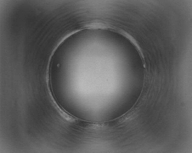 X0000073891195200608251423