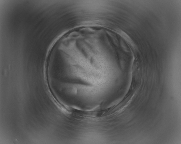 X0000073891196200608251423