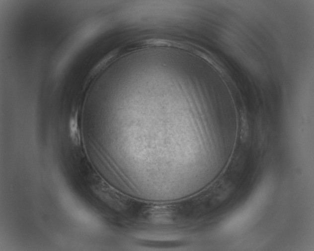 X0000073891198200608251423