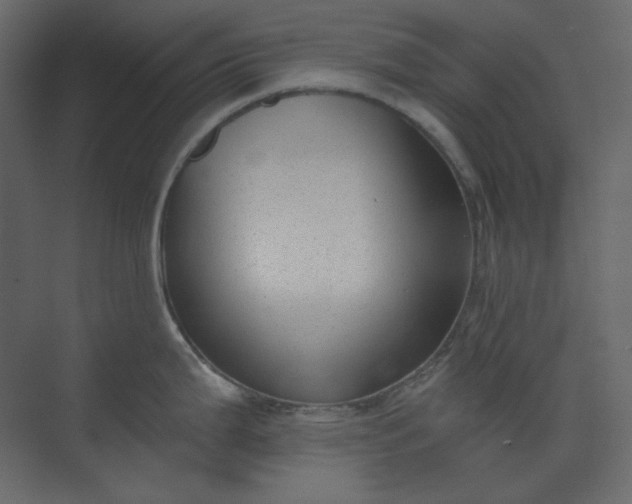 X0000073891199200608251423