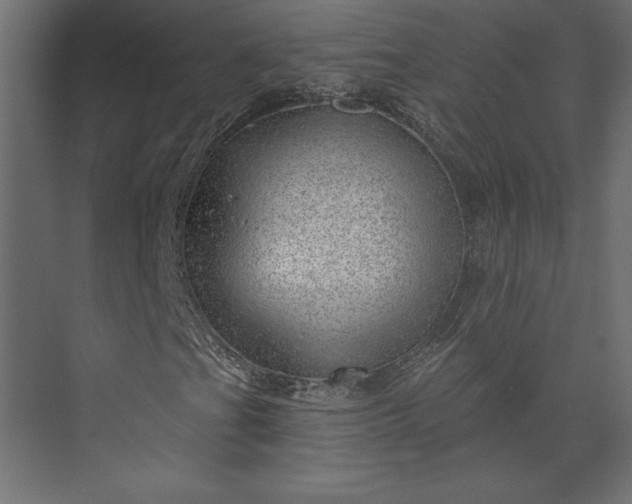 X0000073891201200608251422