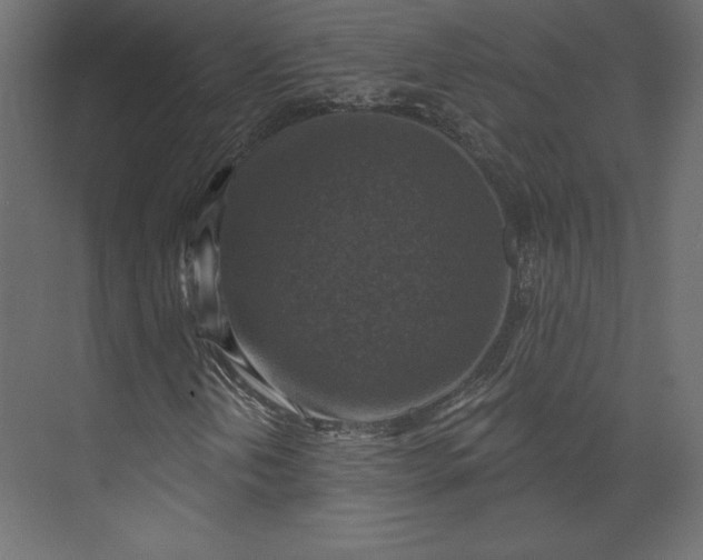 X0000073891202200608251422