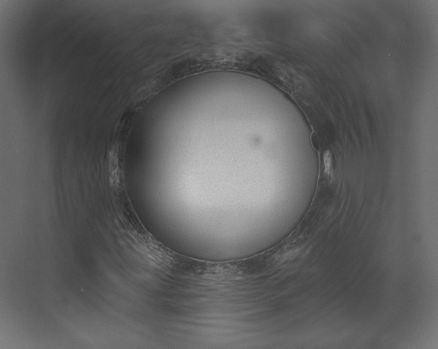 X0000073891203200608251422