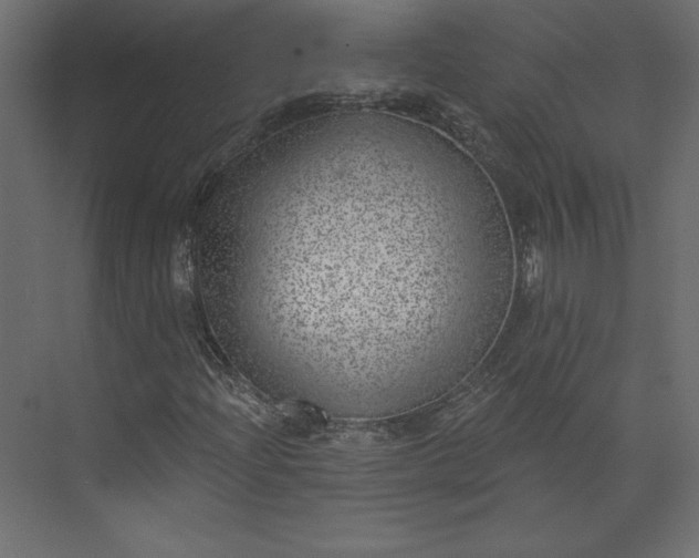 X0000073891204200608251422