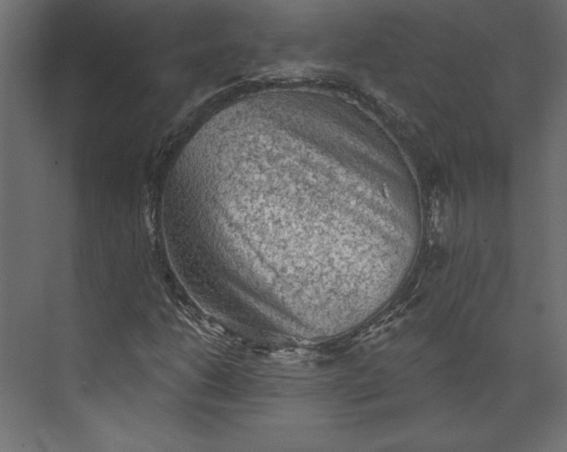 X0000073891206200608251422