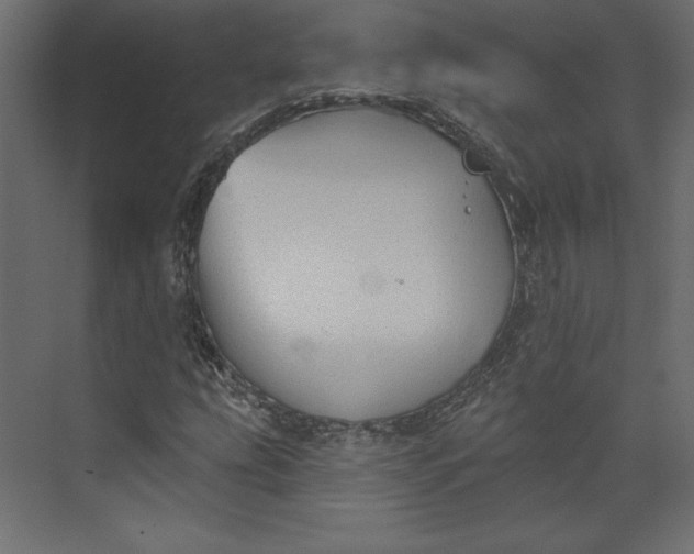 X0000073891207200608251422