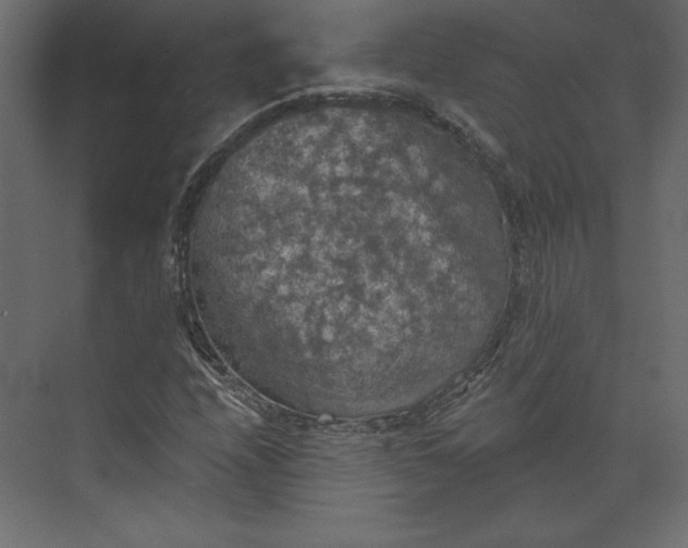 X0000073891208200608251422