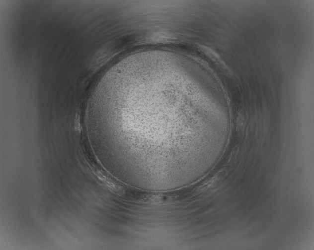 X0000073891209200608251422