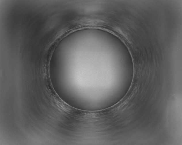 X0000073891211200608251422