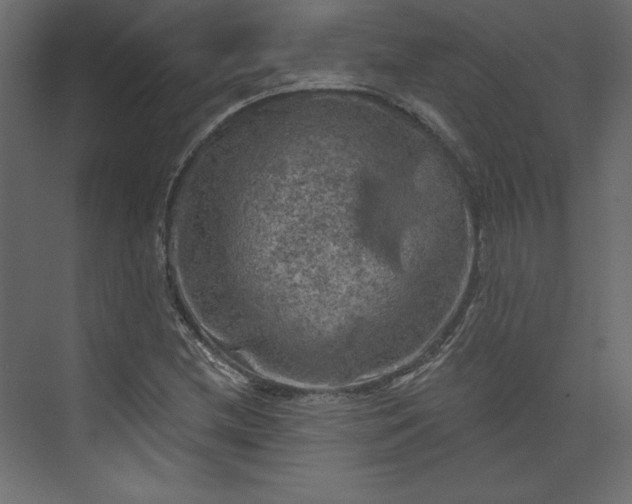 X0000073891212200608251422