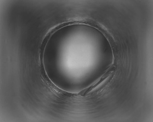 X0000073891214200608251422