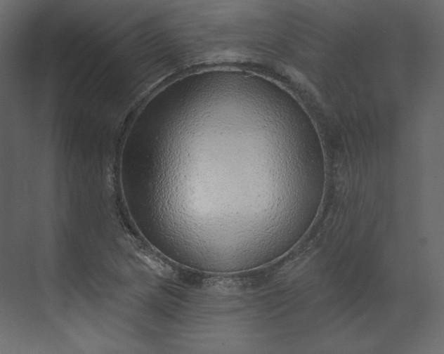 X0000073891217200608251422