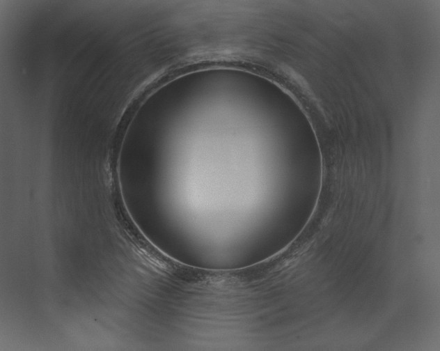 X0000073891218200608251422