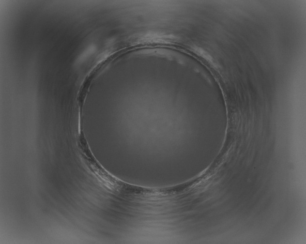 X0000073891219200608251422