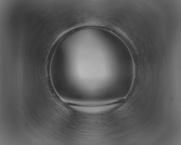 X0000073891222200608251423