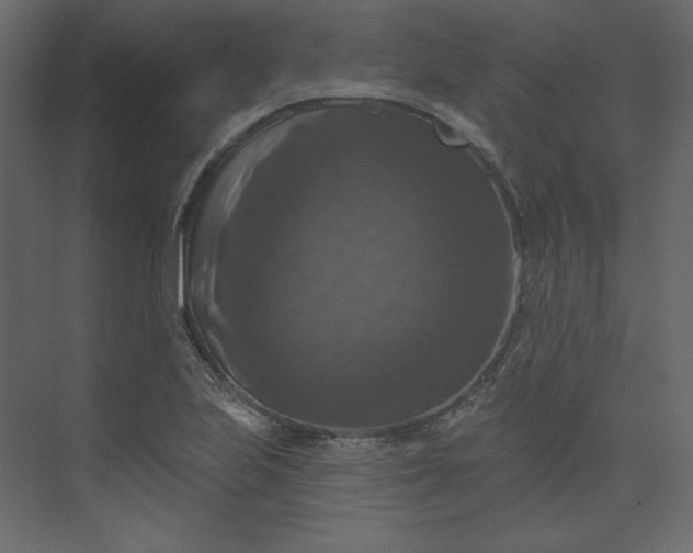 X0000073891223200608251423