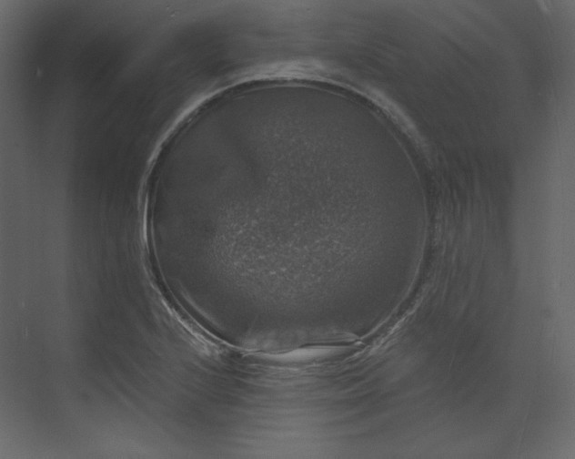 X0000073891224200608251423