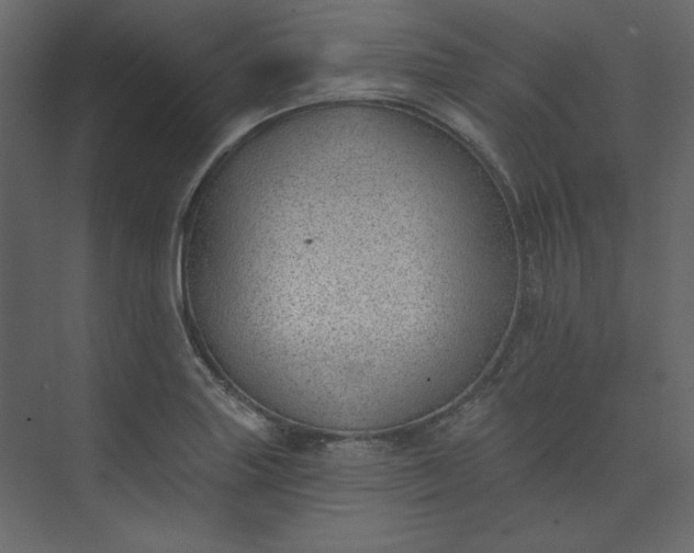 X0000073891227200608251423