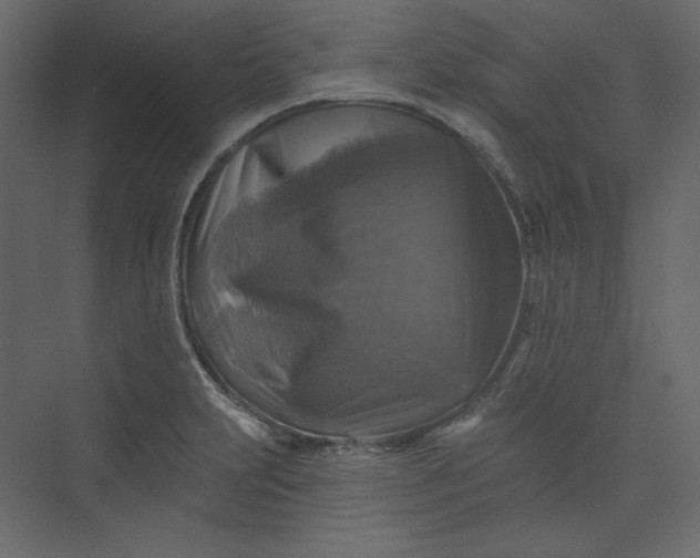 X0000073891231200608251423