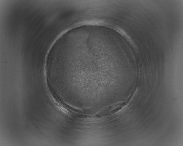 X0000073891232200608251423