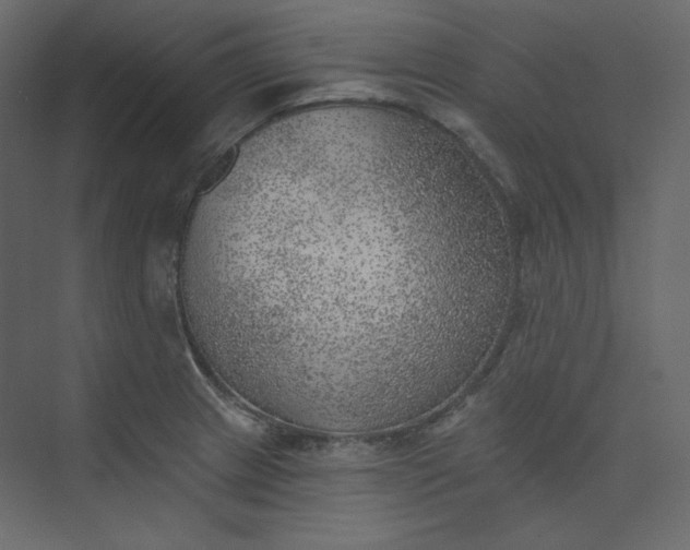 X0000073891233200608251423