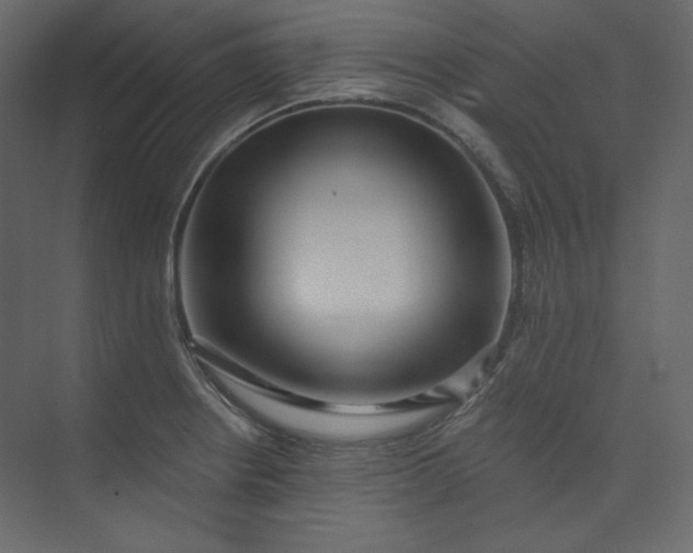 X0000073891234200608251423